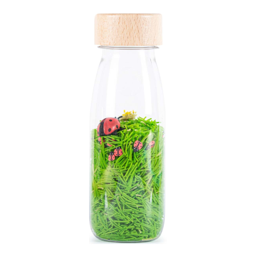 Petit Boum, Butelka obserwayjna - BIEDRONKI.png