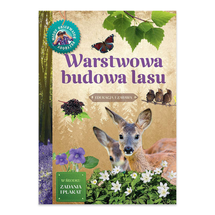 Warstwowa budowa lasu. Młody Obserwator Przyrody.png