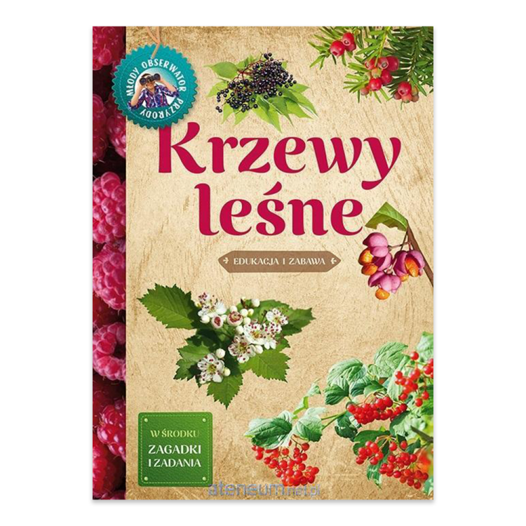 Młody obserwator przyrody.Krzewy leśne.png