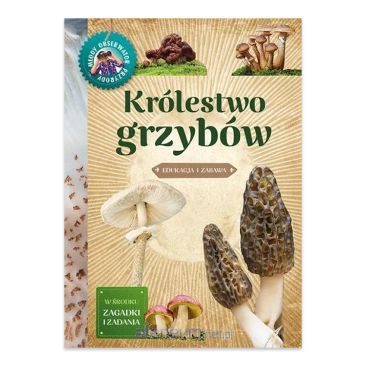 Młody obserwator przyrody.Królestwo grzybów.png