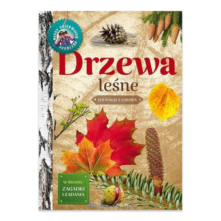 Młody obserwator przyrody. Drzewa leśne.png