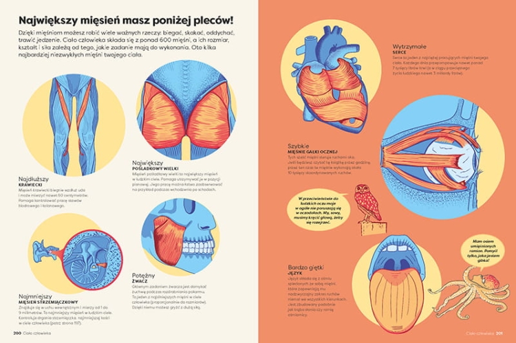 Encyklopedia Infografika1.jpeg
