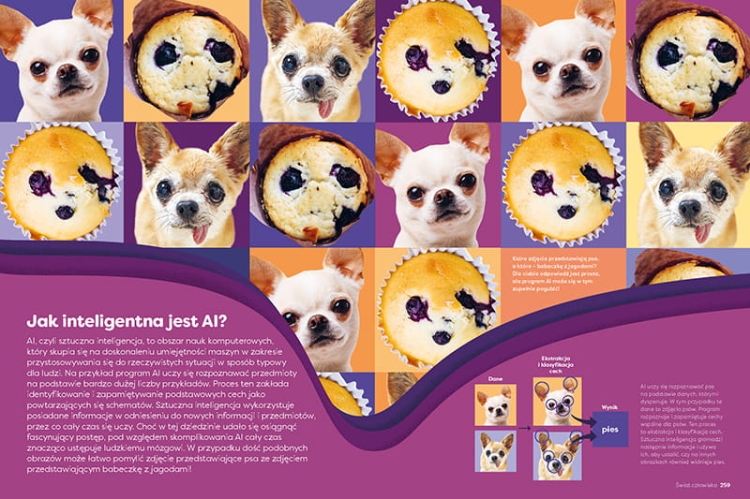 Encyklopedia Infografika2.jpeg