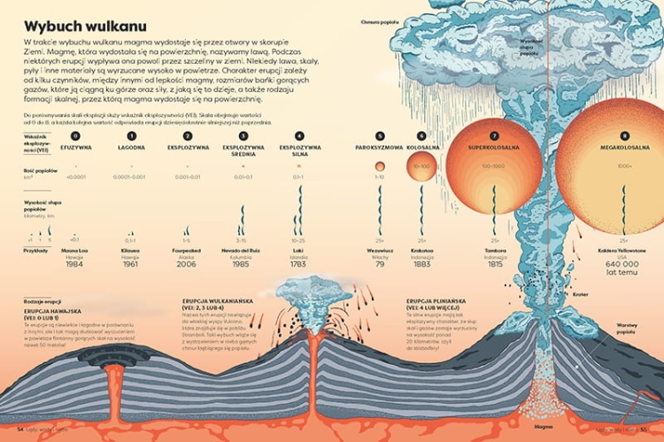 Encyklopedia Infografika3.jpeg