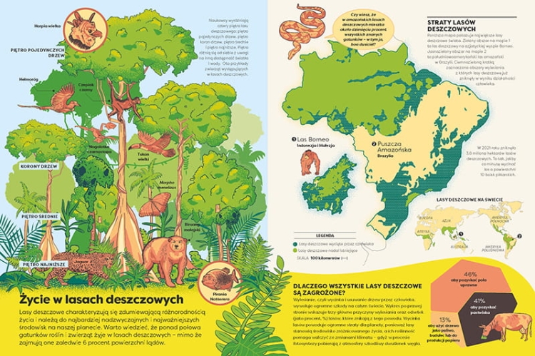 Encyklopedia Infografika5.jpeg