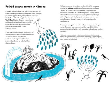 Dobra nasza! Polska, przewodnik dla dzieci3.jpg