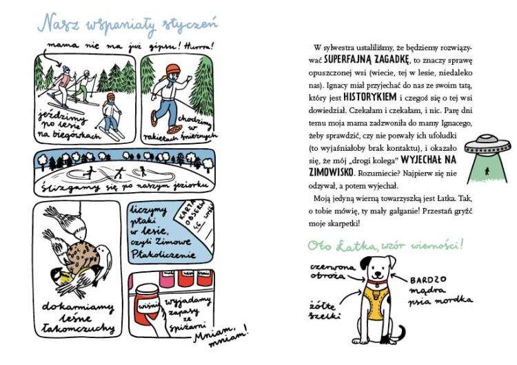 Zagadka opuszczonej wsi. Gaja z Gajówki. Tom 22.jpg