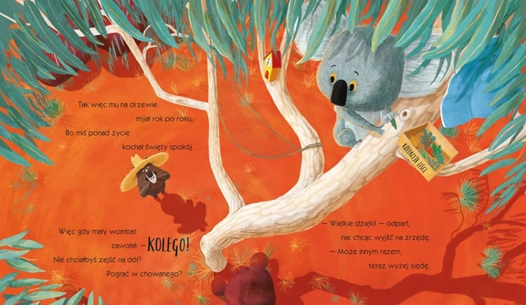 Koala, który się trzymał2.webp
