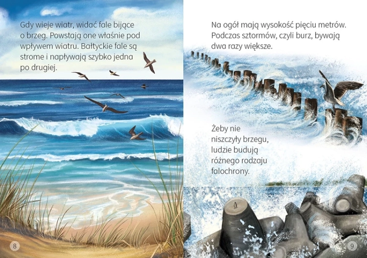 Bałtyk3.webp