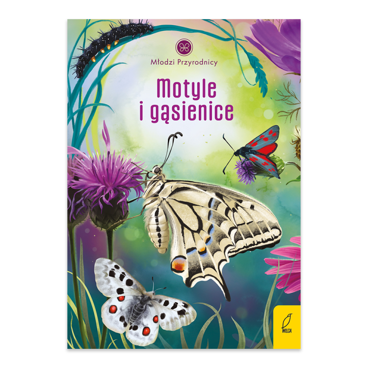 Motyle i gąsienice.png