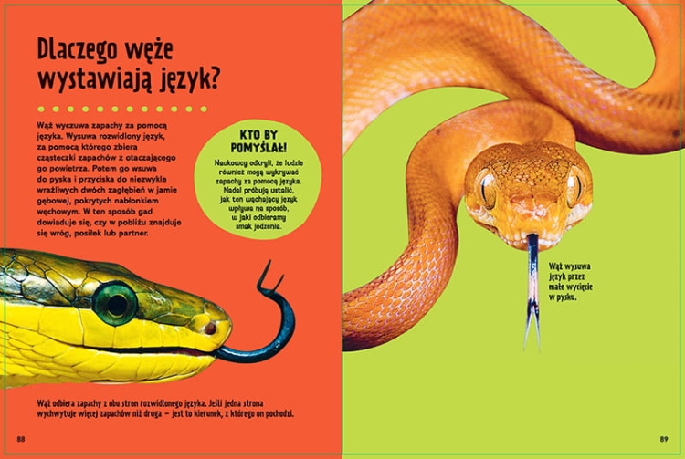 Britannica. Wielka księga pytań dlaczego5.jpeg