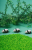Petit Boum, Butelka obserwacyjna - PANDA3.png