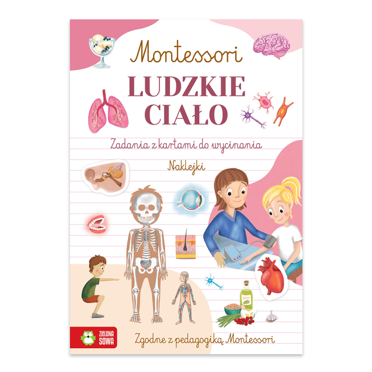Ludzkie ciało. Montessori.png