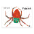 Pajączek.png