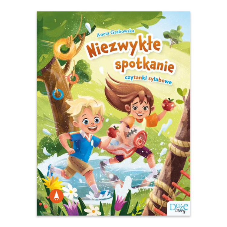 Niezwykłe spotkanie. Czytanki sylabowe.png