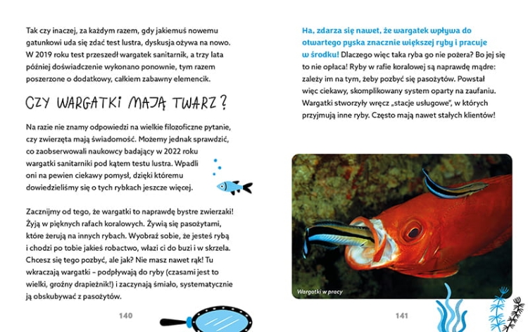 Nie ma głupich pytań3.png