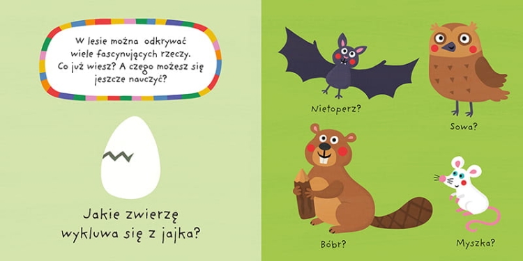 LAS. Mój kolorowy quiz3.png