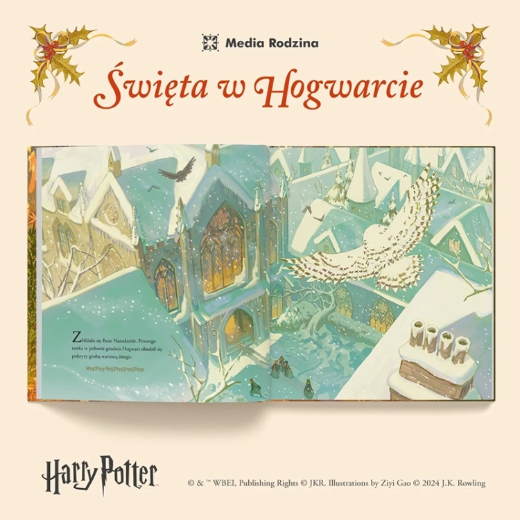 Święta w Hogwarcie. Harry Potter2.webp