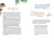 Łobuziary. Najfajniejsze bohaterki literackie3.webp