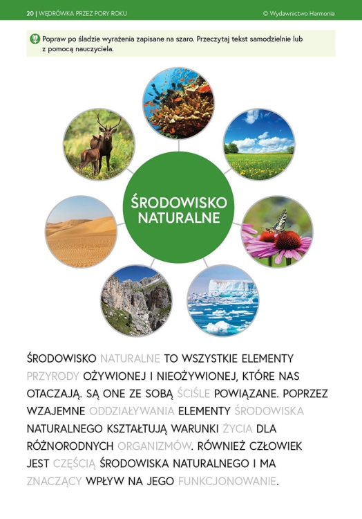 Wędrówka przez pory roku Wiosna5.png