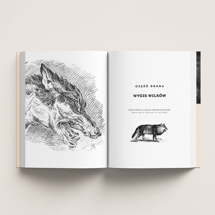 Co myślą i czują zwierzęta3.png