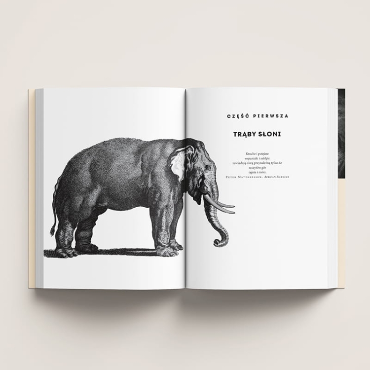 Co myślą i czują zwierzęta4.png