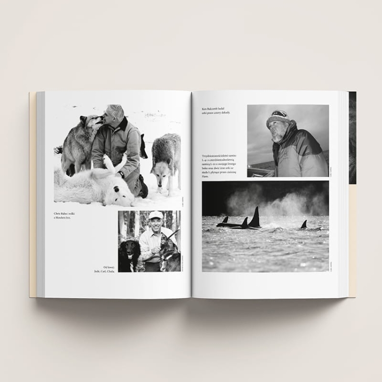 Co myślą i czują zwierzęta5.png