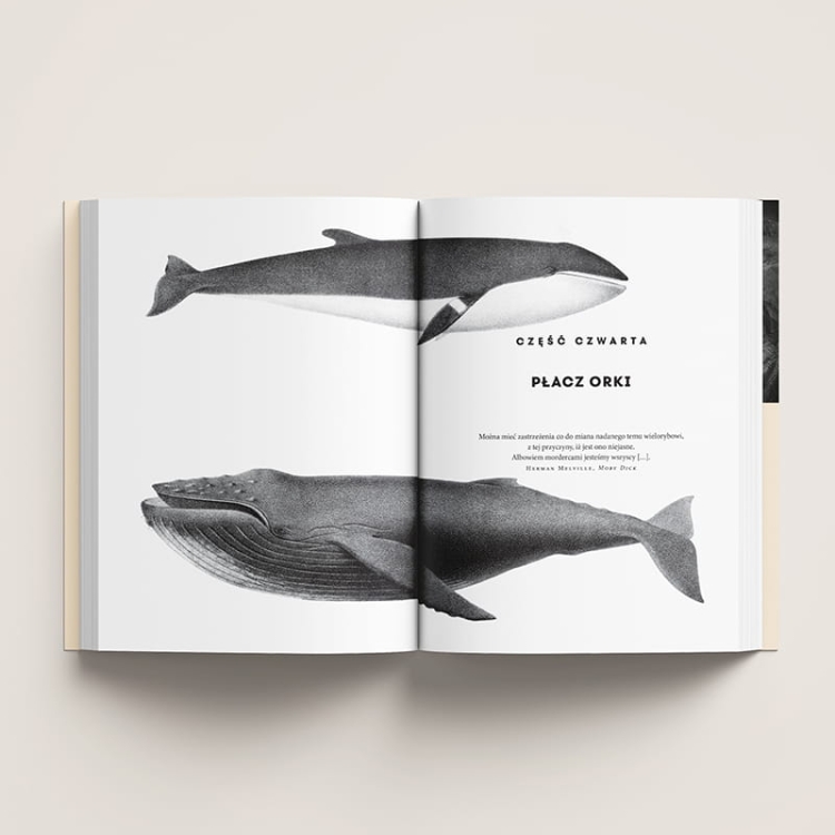 Co myślą i czują zwierzęta7.png