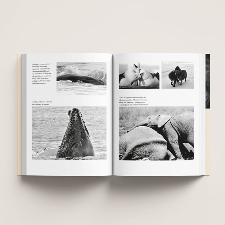 Co myślą i czują zwierzęta8.png