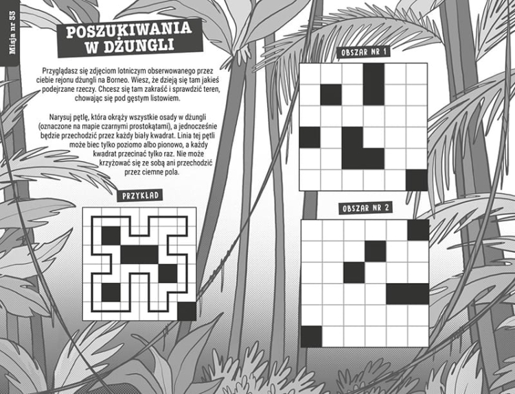 Ściśle tajne łamigłówki szpiegowskie4.png