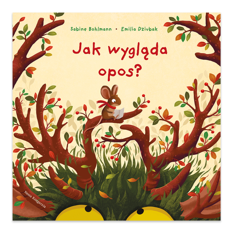 Jak wygląda opos.png