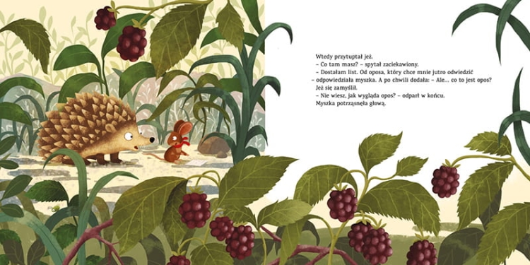 Jak wygląda opos3.png