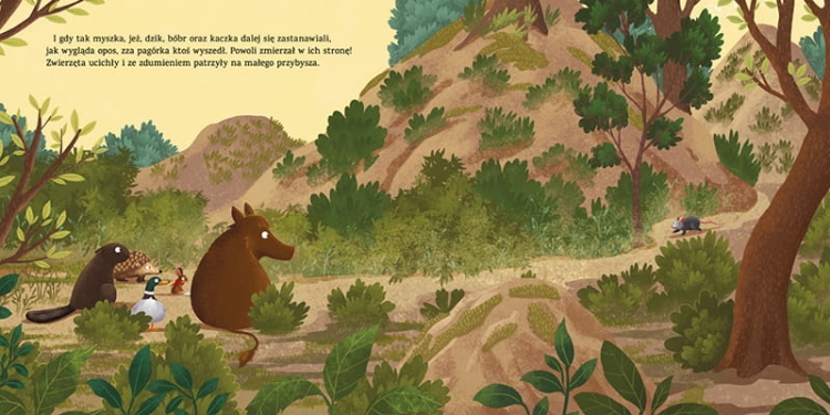 Jak wygląda opos5.png