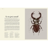 Insektarium. Muzeum Owadów. W Muzeum2.png
