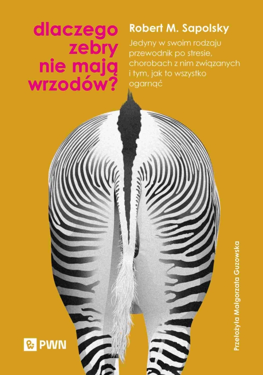 CommS_GetDataExecute.aspx