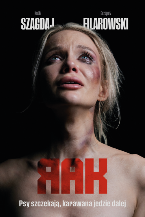 CommS_GetDataExecute.aspx