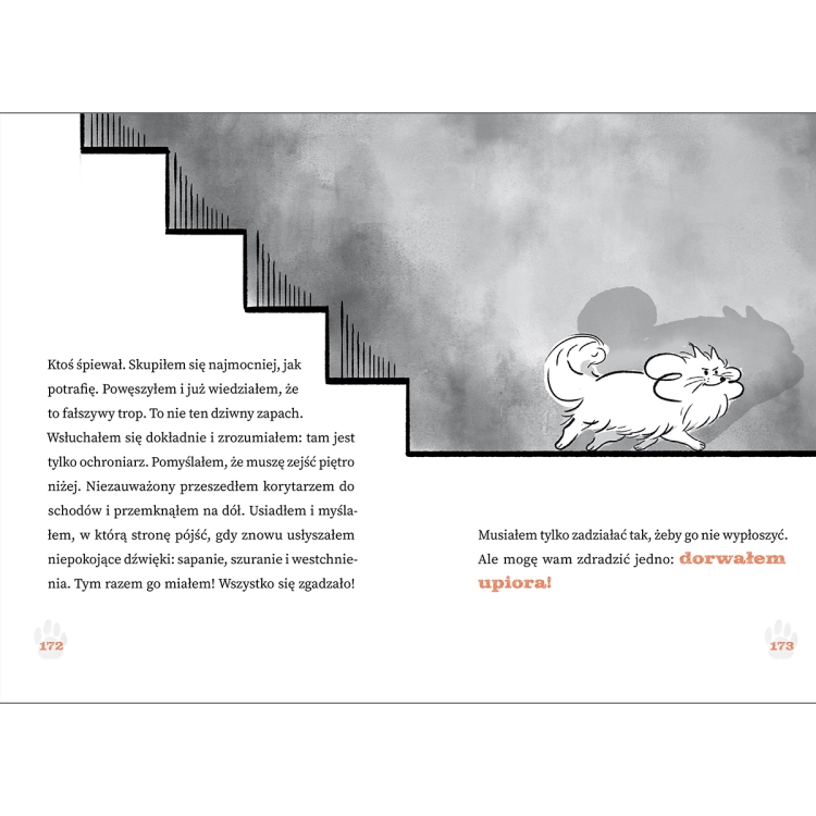 3761dbe2d90999c3ba8a9fb5b405cafd.png