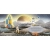 564fde2c86b2c8705e96d62e514d2447.webp